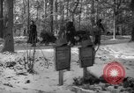 Standbild Hand gezogenen Wagen Berlin Deutschland, 1945, aus Sekunde 8 historischem Filmmaterial Videoclip 65675042632