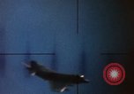 Standbild USA F3H Flugzeuge United States USA, 1960, aus Sekunde 52 historischem Filmmaterial Videoclip 65675042649