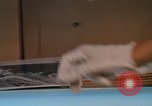 Standbild Luftaufklärungsphotos Vietnam, 1967, aus Sekunde 36 historischem Filmmaterial Videoclip 65675042651