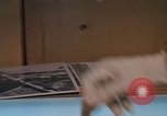 Standbild Luftaufklärungsphotos Vietnam, 1967, aus Sekunde 52 historischem Filmmaterial Videoclip 65675042651