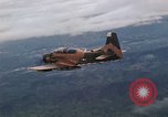Standbild USA A-1 E Flugzeuge Vietnam, 1966, aus Sekunde 56 historischem Filmmaterial Videoclip 65675042657