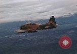 Standbild USA A-1 E Flugzeuge Vietnam, 1966, aus Sekunde 57 historischem Filmmaterial Videoclip 65675042657