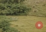 Image of white phosphorus shells Pleiku South Vietnam, 1966, second 11 stock footage video 65675042659