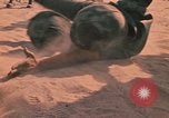 Image of hand to hand combat Vietnam, 1970, second 44 stock footage video 65675042677
