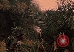 Image of graduation ceremony Vietnam, 1970, second 41 stock footage video 65675042680