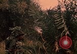Image of graduation ceremony Vietnam, 1970, second 42 stock footage video 65675042680