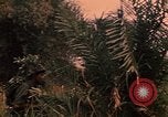 Image of graduation ceremony Vietnam, 1970, second 43 stock footage video 65675042680