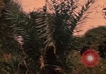Image of graduation ceremony Vietnam, 1970, second 44 stock footage video 65675042680