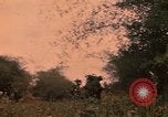 Image of graduation ceremony Vietnam, 1970, second 50 stock footage video 65675042680