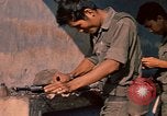 Image of M-16 rifles Vietnam, 1970, second 15 stock footage video 65675042683