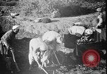 Standbild Ägyptische Arbeiter Hermopolis Ägypten, 1930, aus Sekunde 17 historischem Filmmaterial Videoclip 65675042733