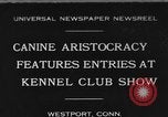 Image Kennel Club dog show Westport Connecticut USA, 1930, de la seconde 1 séquences d'archives historiques vidéo 65675042736