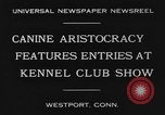 Image Kennel Club dog show Westport Connecticut USA, 1930, de la seconde 3 séquences d'archives historiques vidéo 65675042736