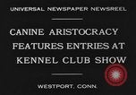 Image Kennel Club dog show Westport Connecticut USA, 1930, de la seconde 4 séquences d'archives historiques vidéo 65675042736