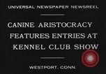 Image Kennel Club dog show Westport Connecticut USA, 1930, de la seconde 5 séquences d'archives historiques vidéo 65675042736
