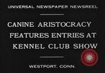 Image Kennel Club dog show Westport Connecticut USA, 1930, de la seconde 8 séquences d'archives historiques vidéo 65675042736
