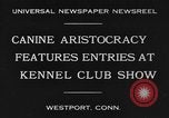 Image Kennel Club dog show Westport Connecticut USA, 1930, de la seconde 9 séquences d'archives historiques vidéo 65675042736