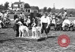 Image Kennel Club dog show Westport Connecticut USA, 1930, de la seconde 10 séquences d'archives historiques vidéo 65675042736