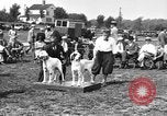 Image Kennel Club dog show Westport Connecticut USA, 1930, de la seconde 11 séquences d'archives historiques vidéo 65675042736