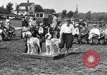 Image Kennel Club dog show Westport Connecticut USA, 1930, de la seconde 12 séquences d'archives historiques vidéo 65675042736