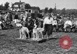 Image Kennel Club dog show Westport Connecticut USA, 1930, de la seconde 13 séquences d'archives historiques vidéo 65675042736