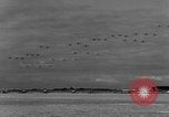 Image of aircraft Miami Florida USA, 1933, second 58 stock footage video 65675042739