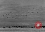 Image of aircraft Miami Florida USA, 1933, second 62 stock footage video 65675042739