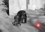Image of unicycle Los Angeles California USA, 1933, second 62 stock footage video 65675042743