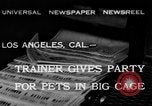 Image of leopards Los Angeles California USA, 1933, second 1 stock footage video 65675042746