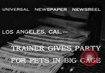 Image of leopards Los Angeles California USA, 1933, second 4 stock footage video 65675042746