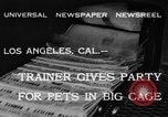Image of leopards Los Angeles California USA, 1933, second 5 stock footage video 65675042746