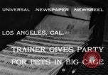 Image of leopards Los Angeles California USA, 1933, second 8 stock footage video 65675042746