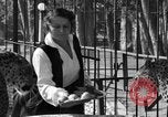 Image of leopards Los Angeles California USA, 1933, second 15 stock footage video 65675042746