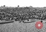Standbild Puten Pomona California USA, 1934, aus Sekunde 3 historischem Filmmaterial Videoclip 65675042750