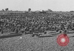 Standbild Puten Pomona California USA, 1934, aus Sekunde 4 historischem Filmmaterial Videoclip 65675042750