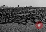 Standbild Puten Pomona California USA, 1934, aus Sekunde 6 historischem Filmmaterial Videoclip 65675042750