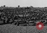 Standbild Puten Pomona California USA, 1934, aus Sekunde 7 historischem Filmmaterial Videoclip 65675042750