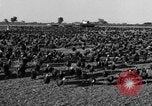 Standbild Puten Pomona California USA, 1934, aus Sekunde 8 historischem Filmmaterial Videoclip 65675042750