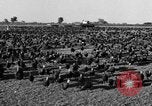 Standbild Puten Pomona California USA, 1934, aus Sekunde 9 historischem Filmmaterial Videoclip 65675042750