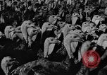 Standbild Puten Pomona California USA, 1934, aus Sekunde 19 historischem Filmmaterial Videoclip 65675042750