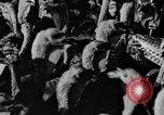 Standbild Puten Pomona California USA, 1934, aus Sekunde 22 historischem Filmmaterial Videoclip 65675042750