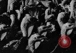 Standbild Puten Pomona California USA, 1934, aus Sekunde 25 historischem Filmmaterial Videoclip 65675042750