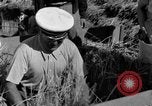 Image Benito Mussolini Italie, 1935, de la seconde 31 séquences d'archives historiques vidéo 65675042761