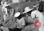 Image Benito Mussolini Italie, 1935, de la seconde 32 séquences d'archives historiques vidéo 65675042761