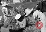 Image Benito Mussolini Italie, 1935, de la seconde 33 séquences d'archives historiques vidéo 65675042761