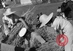 Image Benito Mussolini Italie, 1935, de la seconde 34 séquences d'archives historiques vidéo 65675042761