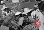 Image Benito Mussolini Italie, 1935, de la seconde 35 séquences d'archives historiques vidéo 65675042761