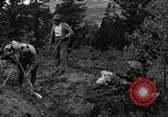 Image l'extraction de l'or Ward Colorado USA, 1935, de la seconde 21 séquences d'archives historiques vidéo 65675042762