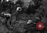 Image l'extraction de l'or Ward Colorado USA, 1935, de la seconde 22 séquences d'archives historiques vidéo 65675042762