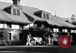 Image nouvelle souche de vache Williamstown Massachusetts USA, 1935, de la seconde 15 séquences d'archives historiques vidéo 65675042763